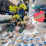 铭门盛宴｜北京海鲜自助天花板[礼花]