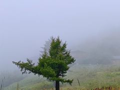 -驼梁风景区
