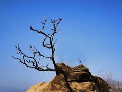 -白水寺森林公园