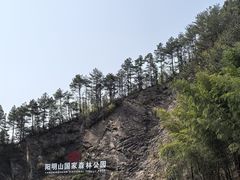 -永州阳明山国家森林公园