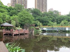 景点-重庆彩云湖湿地公园