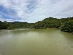 -广州白江湖森林公园