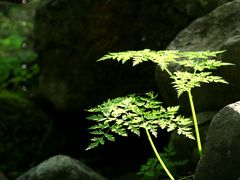 -玉渡山自然风景区