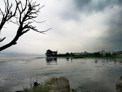 -才村湿地公园