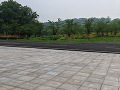 -宜兴龙背山森林公园