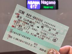 -轻井泽王子购物广场