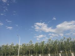 -石家庄市植物园