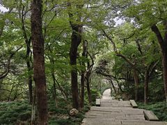 -宁波市保国寺古建筑博物馆