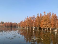 -三圣花乡旅游区