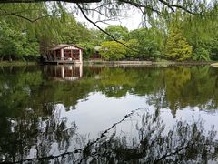 -上海共青森林公园