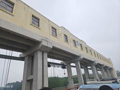 -黄河故道国家森林公园