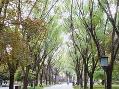 -唐城墙遗址公园