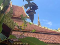 -西双版纳傣族园