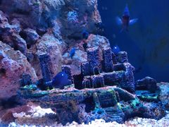 -成都浩海立方海洋公园