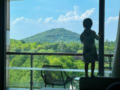 -上海佘山世茂艾美酒店