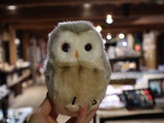 -小樽八音盒堂
