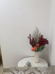 -美莱医疗美容医院