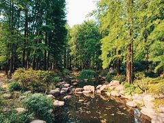 -共青国家森林公园-南大门停车场