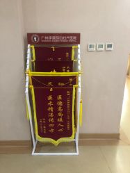 -伊丽莎白医疗美容