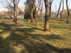 -玲珑塔公园