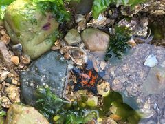 -公平面馆(总店)