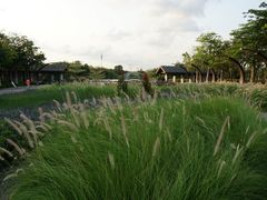 -映月湖公园