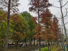 -虞山风景区