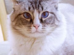 -白兔子密室(长寿路店)