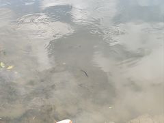 -郭峪古城