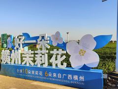 -中华茉莉园