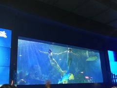 -重庆欢乐海底世界