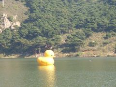 -燕塞湖鸟语林景区