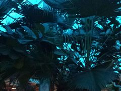 -红栌温泉山庄生态美食餐厅