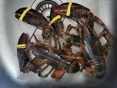 -盒马鲜生(龙德广场店)