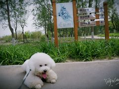 -东郊湿地公园