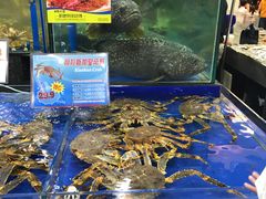 水产区-东江海鲜酒家(艺都分店)