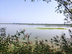 -野鸭湖国家湿地公园