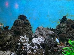 -横店影视城梦幻谷园区