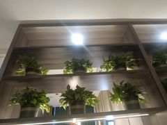 -刘胖子家常菜·蹄花焖藕(中南店)