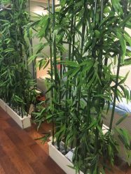 -伊童美家小儿推拿·中式养生(徐汇店)