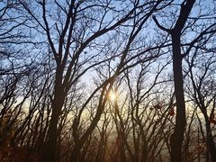 -帽儿山国家森林公园