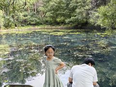 -黑龙江省森林植物园