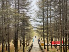 -红崖峡谷景区