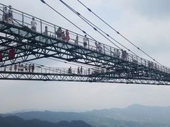 -梦幻奥陶纪景区