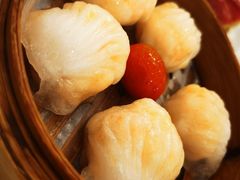 -益健美食大广场(北岭店)