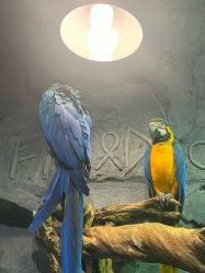 -Zoolung Zoolung动物主题公园(海信广场店)