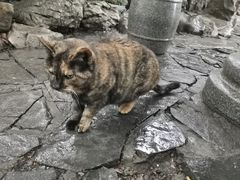 -西园戒幢律寺