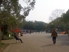 -上海海湾国家森林公园