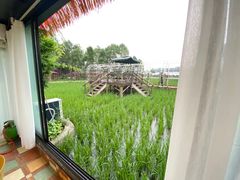 -洪湖家庭农场·团建·露营·会议