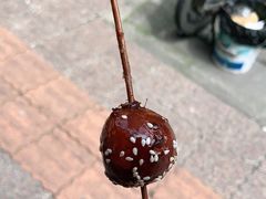 -邓记新一代糖油果子(四川煤管局供销公司职工宿舍店)